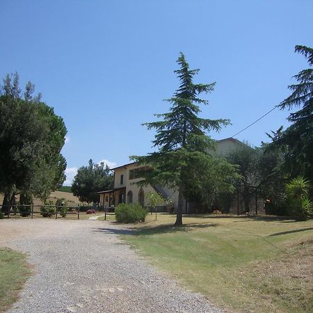 Agriturismo Podere Selvette Campagnatico Dış mekan fotoğraf