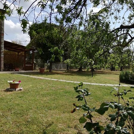 Agriturismo Podere Selvette Campagnatico Dış mekan fotoğraf