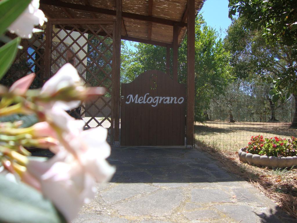 Agriturismo Podere Selvette Campagnatico Dış mekan fotoğraf