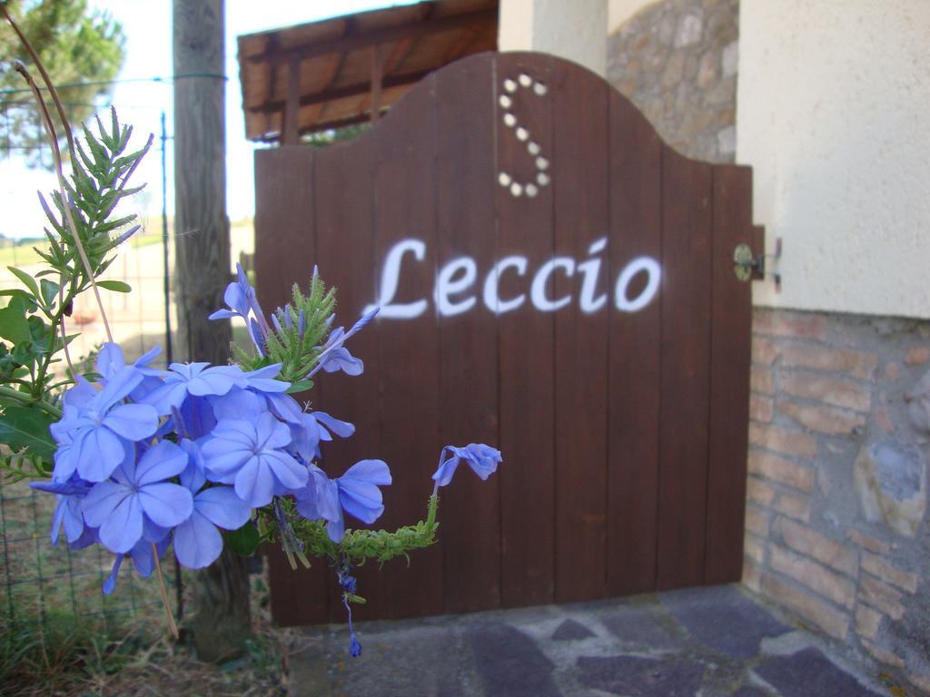 Agriturismo Podere Selvette Campagnatico Dış mekan fotoğraf