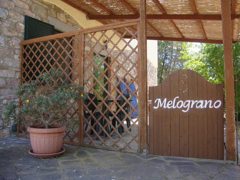 Agriturismo Podere Selvette Campagnatico Dış mekan fotoğraf