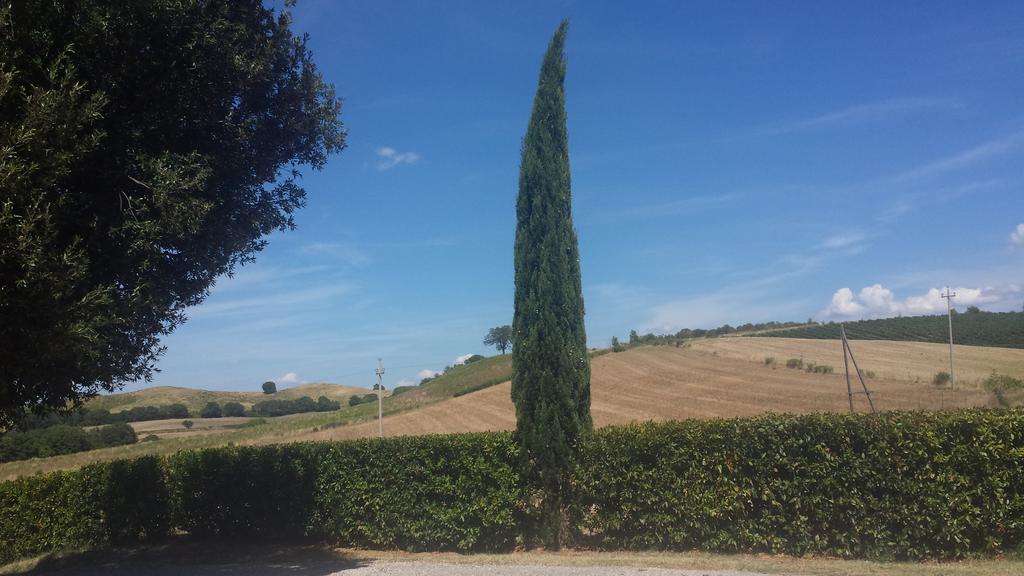 Agriturismo Podere Selvette Campagnatico Dış mekan fotoğraf