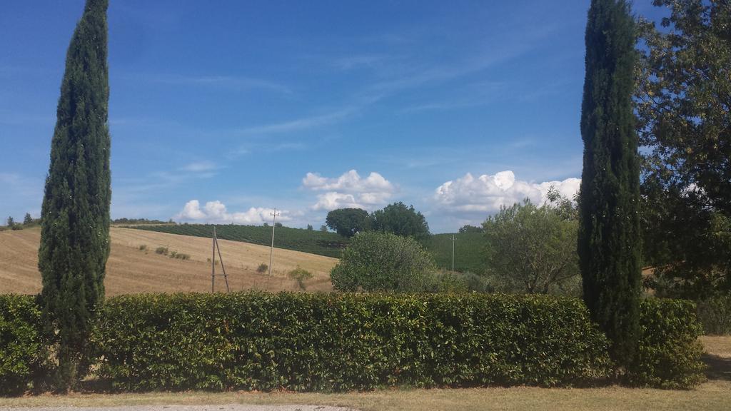 Agriturismo Podere Selvette Campagnatico Dış mekan fotoğraf