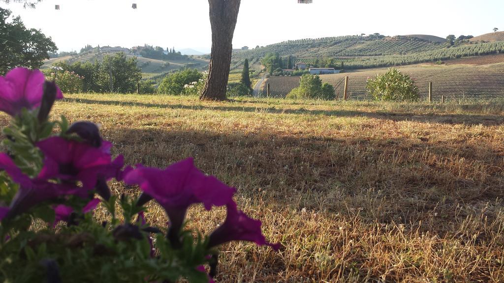 Agriturismo Podere Selvette Campagnatico Dış mekan fotoğraf