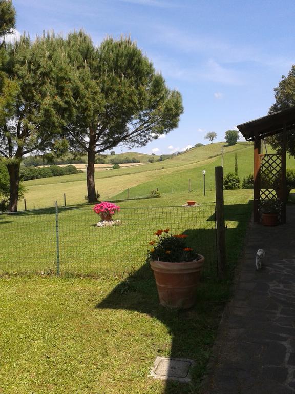 Agriturismo Podere Selvette Campagnatico Dış mekan fotoğraf