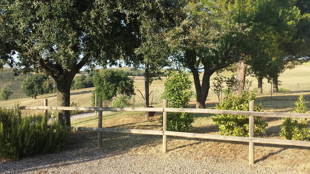 Agriturismo Podere Selvette Campagnatico Dış mekan fotoğraf