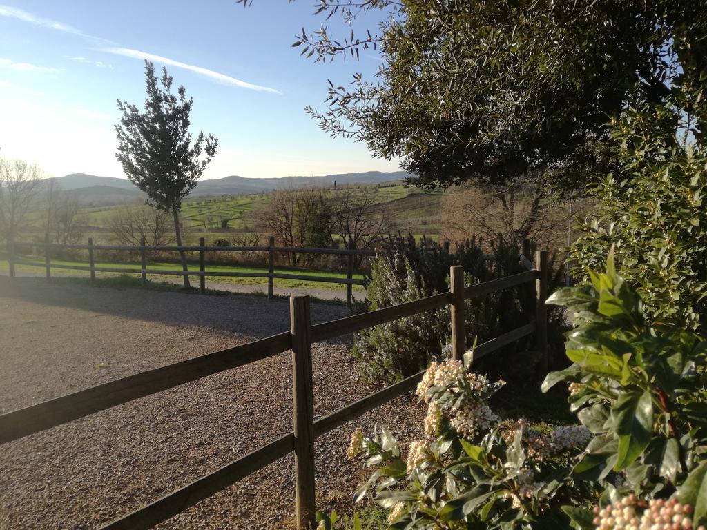 Agriturismo Podere Selvette Campagnatico Dış mekan fotoğraf