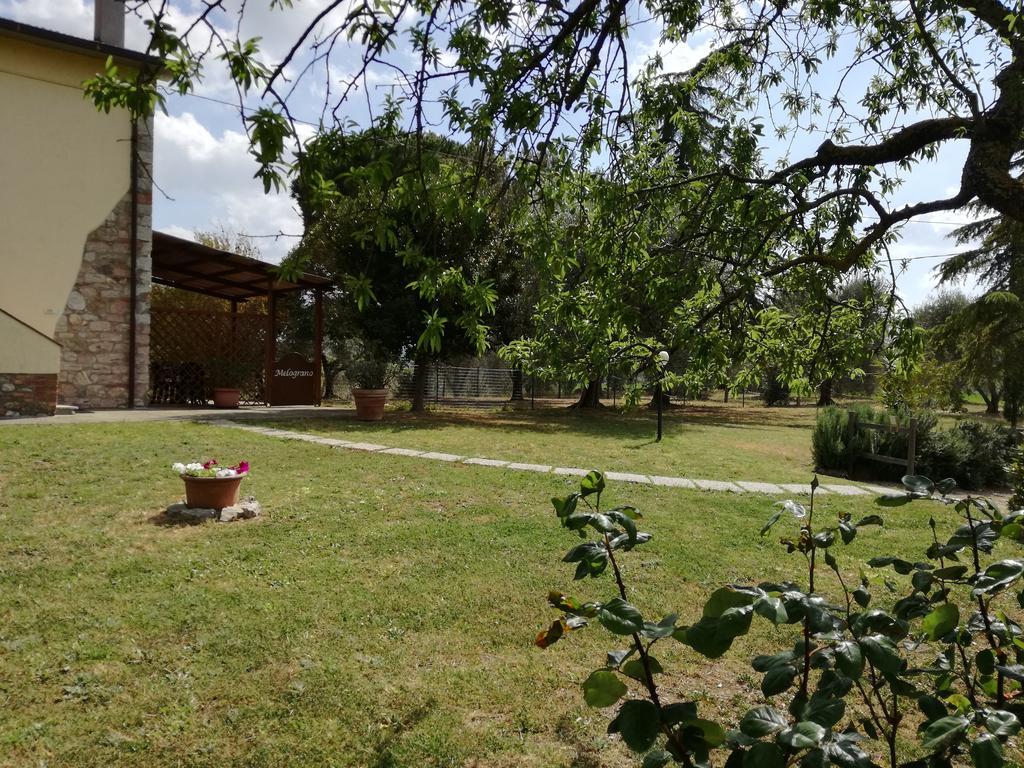 Agriturismo Podere Selvette Campagnatico Dış mekan fotoğraf