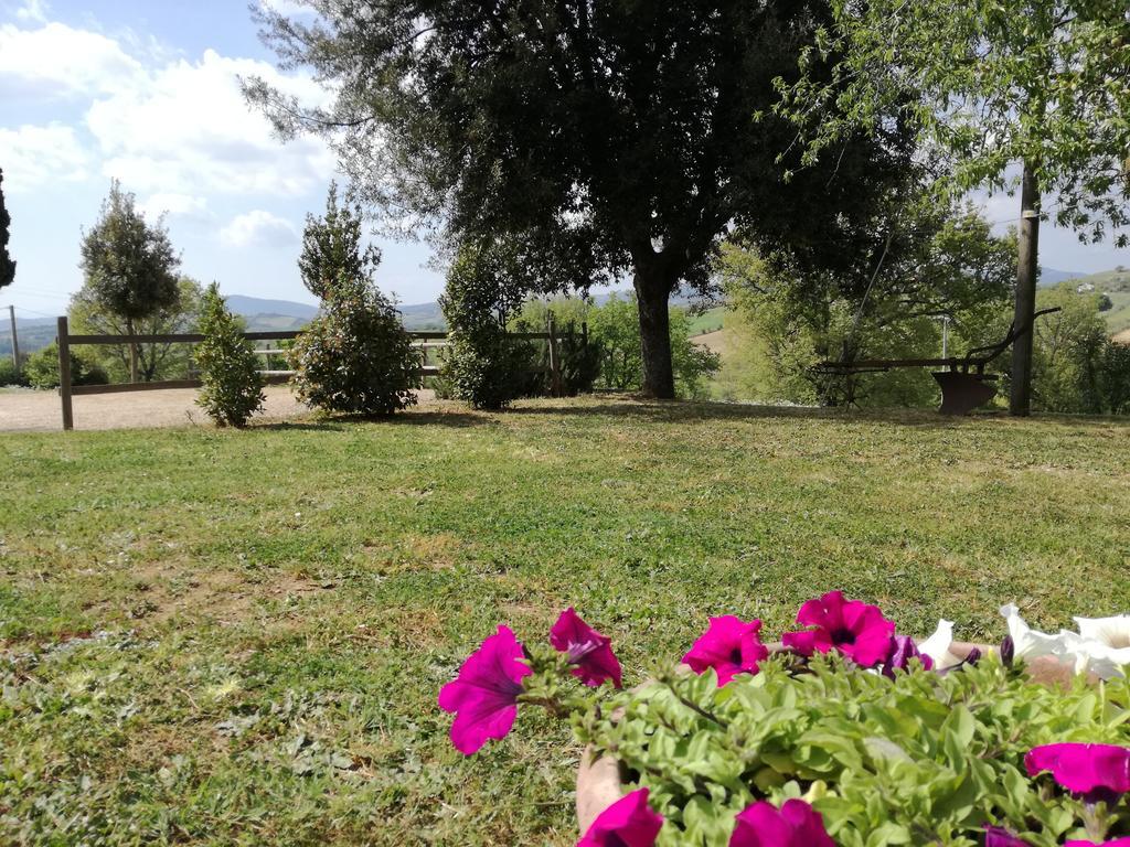 Agriturismo Podere Selvette Campagnatico Dış mekan fotoğraf